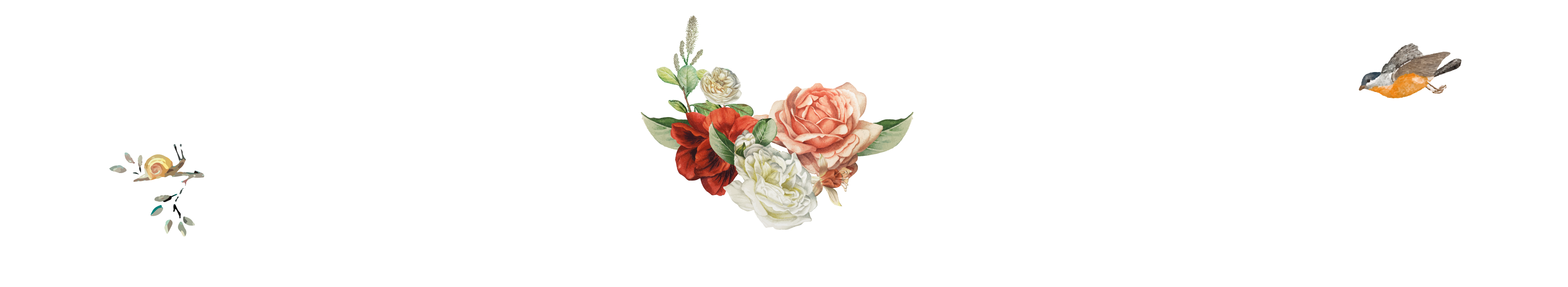 2026夏季特色精彩全覽南北法15日